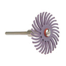 60Pcs 1 Inch Bristle Disc Kit with 6 Mandrels for Rotating Tools,Detailing