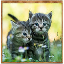 5D DIY Full Drill Diamond Painting Cross Stitch Embroidery Home Art (Cat08)