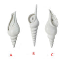 Ceramic Shell Conch Flower Vase Wall Hanging Decorative Flowerpot Decor