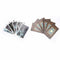 Anima Mundi Tarot Deck 78 Card Deck with Guide Book Nature Deck OccultSEAU