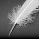 100pcs White Feathers Goose Craft for Party Hat Crafts Wedding Decoration 1