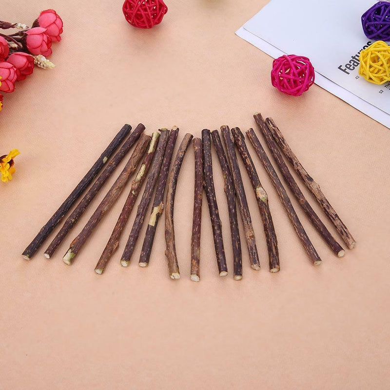 30pcs Natural Fruit Matatabi Cat Snacks Sticks Catnip Pet Cat Molar Rods