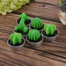 6Pcs Cactus Candle Tea Light Paraffin Home Decor Party Favor Plants Candle
