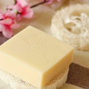 Quality Loofah, Luffa, Loofa, Facial, Skin Care, Exfoliator, Sponge N0T2