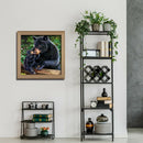 5D DIY Full Drill Diamond Painting Black Bear Cross Stitch Mosaic Craft Kit