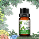 Firstsun Plant Nourishing Essential Oil Maintenance Nutritional Moisturizin A1F5