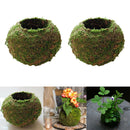 2Pcs 15cm Unique Green Moss Ball Flower Pot Bonsai Plant Holder Home Office