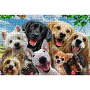 1000pcs DIY Paper Jigsaw Animal Park Dogs Puzzle Toys Assembling Picture