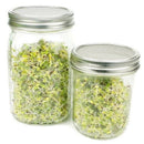 5 Pack Sprouting Lids Stainless Steel Sprout Growing Kit for Wide Mouth Can