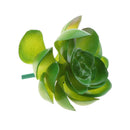 Artificial Plastic Succulents Plants Echeveria Flowers DIY Wall Decor Crafts
