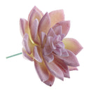 Artificial Succulent Vivid Flocking Plants Home Office Floral Decor Crafts