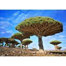 5D Large Tree Group Painting Kit Full Round Drill Rhinestone DIY Drawing