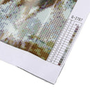 5D Diamond Painting Kits Full Drill Diamond Embroidery,30x25cm