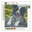 5D DIY Full Drill Diamond Painting Dog Cross Stitch Embroidery Mosaic Kit