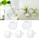 3x Wall Mounted Clear Glass Terrariums / Air Plant Globes / Hanging Candle