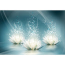Diamond Embroidery Full Round Diamond Painting Three Lotus Rhinestone Art