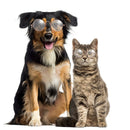 Lovely Dog Cat Glasses Pet Eye Protection Sunglasses Photos Props (White) A
