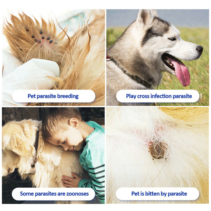 Adjustable Pet Collar Anti Mosquito Flea Pest Control Dog Cats Necklace (B) A