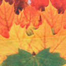 Autumn Leaves Fall Heart Home Decor Throw Pillow Cover Cushion Case 18 x 18 B9K7