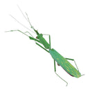 Bug Insects Statue Ornament Hanging Wall Art Insect Garden Sculpture Decor