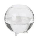 6pcs Glass Ball Shaped Flower Plant Tabletop Vases   Bowl Container Decor