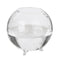 6pcs Glass Ball Shaped Flower Plant Tabletop Vases   Bowl Container Decor