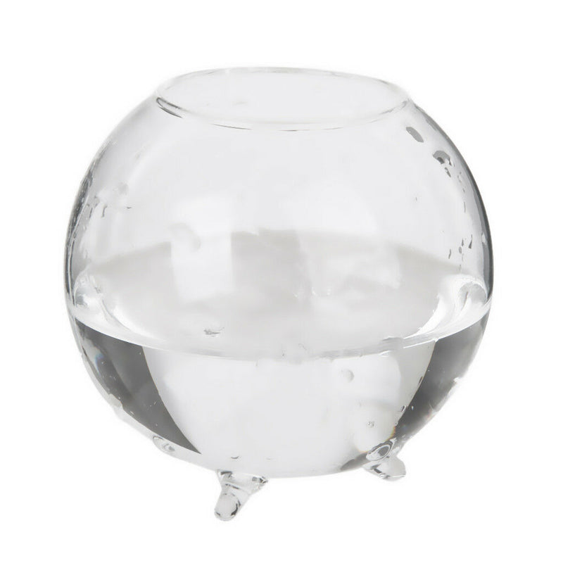6pcs Glass Ball Shaped Flower Plant Tabletop Vases   Bowl Container Decor
