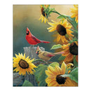 Birds 5D Round Diamond Embroidery Painting Cross Stitch Craft Needlework Decor