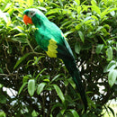 Large Artificial Parrot Bird Realistic Home Decor Budgie Taxidermy Green