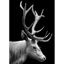 Full Drill Diamond Painting 5D Mosaic Bead Art Picture Kit (E34 Antelope)