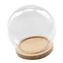 Glass Display Cloche Bell Jar Dome Flower Vase & Wooden Base 15cmx14cm (DXH)