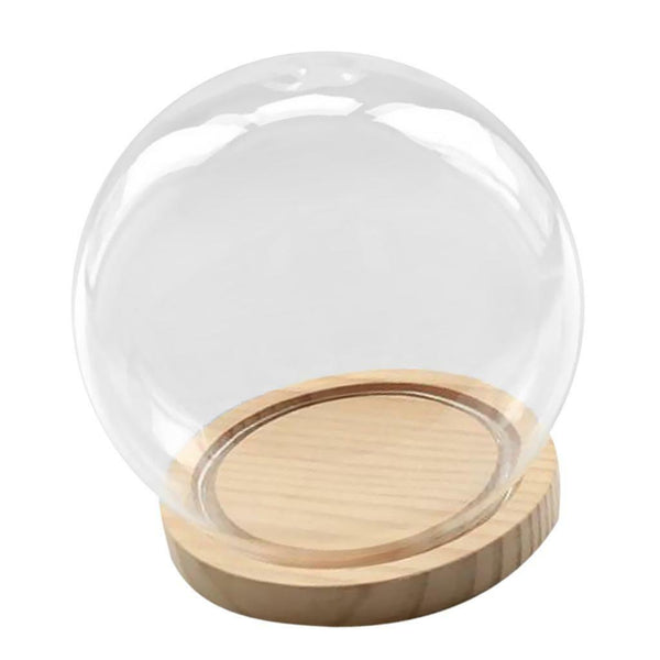 Glass Display Cloche Bell Jar Dome Flower Vase & Wooden Base 15cmx14cm (DXH)