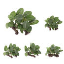5PCS 9 X 6 X 8cm Aquarium Decor Fish Tank Decoration Ornament Artificial Plastic
