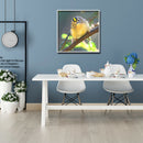 30x30cm Diamond Painting Yellow Feather Parrot Full Round Drill Embroidery
