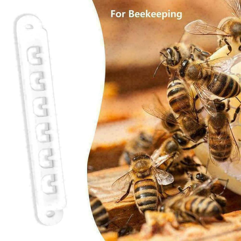 5PCS Beehive Door Entrance Gate Bee Anti-escape Beekeeping Tool Beekeeper C Y5V9