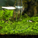 8 Holes Aquarium Tank Plastic Catcher Trap Trapper With Shrimp Feeding Dish Food