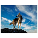 Wolf 5D Full Drill Round Diamond Painting Cross Stitch Embroidery Craft