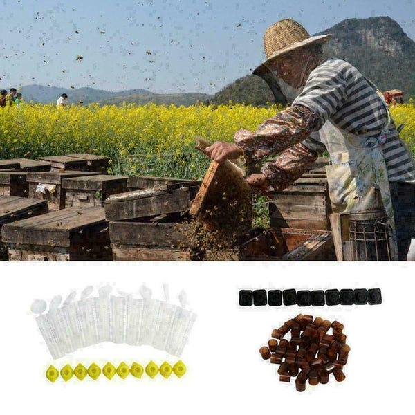 Queen Rearing Cupkit System Bee Beekeeping Catcher 100 Cell Y6B6 Cups Kit & E1M3