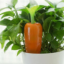 Carrot Automatic Watering Globe Plant Self Watering Bulb Garden Waterer SysS Hn