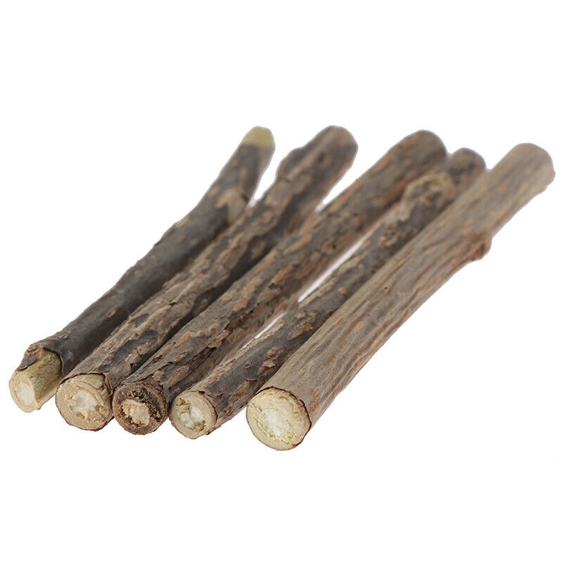 5 pcs Cat Cleaning Teeth Pure Natural Catnip Stick Pet Molar Toothpaste Sna BX