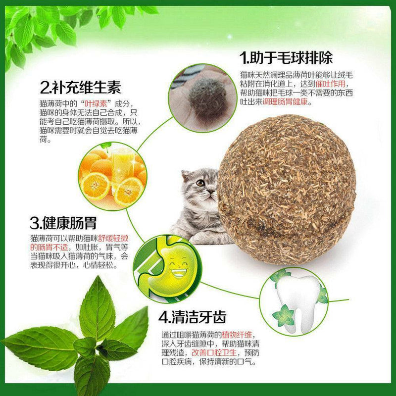 Magic Pet Cat Chewing ToyTeeth Cleaning Kitten Treats Catnip Stick HOT