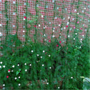 2.7*1.8M Garden Green Nylon Trellis Netting Climbing Bean Plant Nets Grow Fen ME