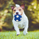 Pet Soft Latex Squeak Sound Molar Ball Dog Interactive Chew Toys (Football) A