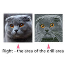 5D DIY Full Drill Diamond Painting Big Grey Cat Cross Stitch Embroidery Kit