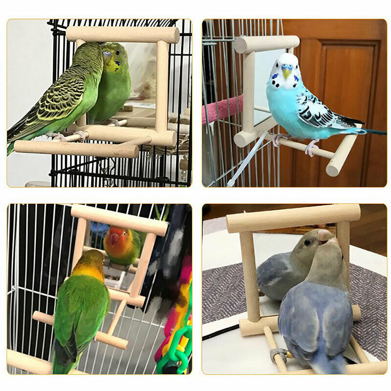 Pets Bird Parakeet Cockatiel Budgie Parrot Hanging Swing Rope Cage TrainingSEAU