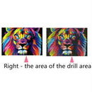 Full Drill Round Drill 5D Diy Diamond Painting "Colorful Lion" Embroidery C