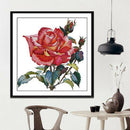 Counted Cross Stitch Kit Rose Flower 14CT Without Pre-printed Fabric 43x44cm