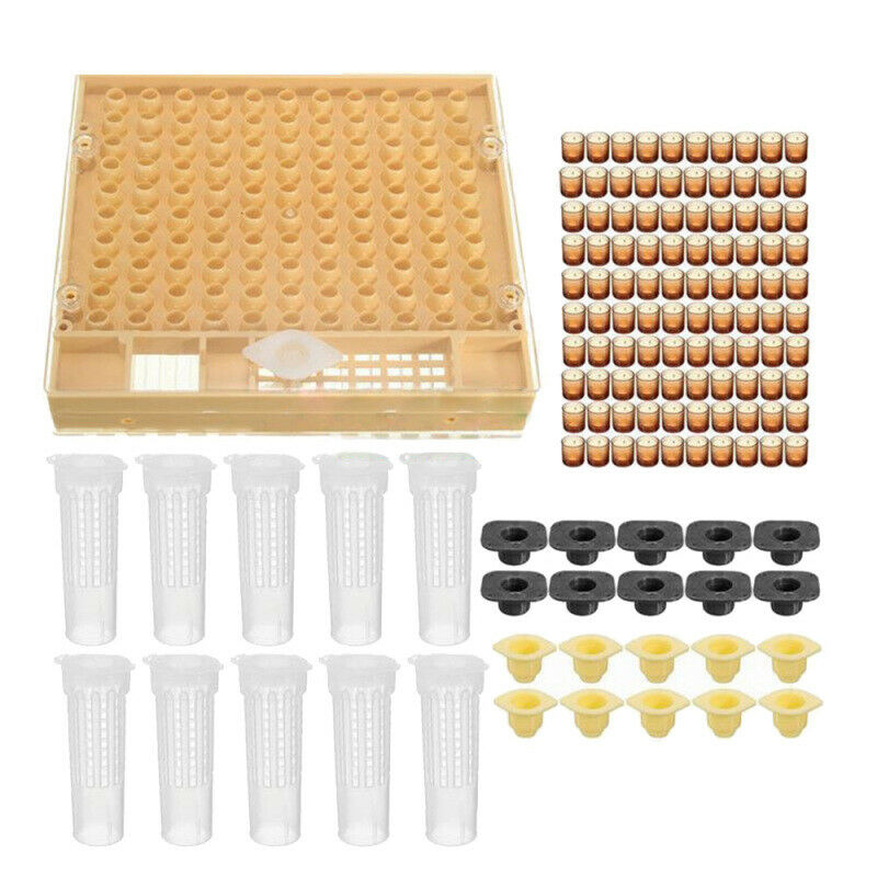 131x Complete Bee Queen Rearing Cup kit Box System Beekeeping Cage Cell Cup Kit