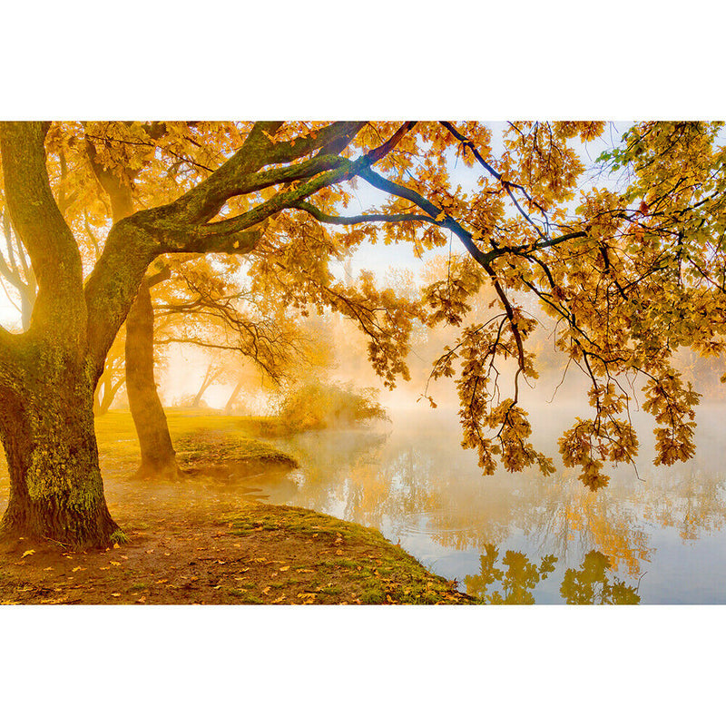 1000pcs DIY Paper Puzzle Autumn by River Jigsaw Adults Kids Assembling Toys