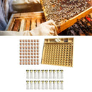 120pcs Bee Cell Cups Queen Rearing System Beekeeping Tool Cultivating Box A
